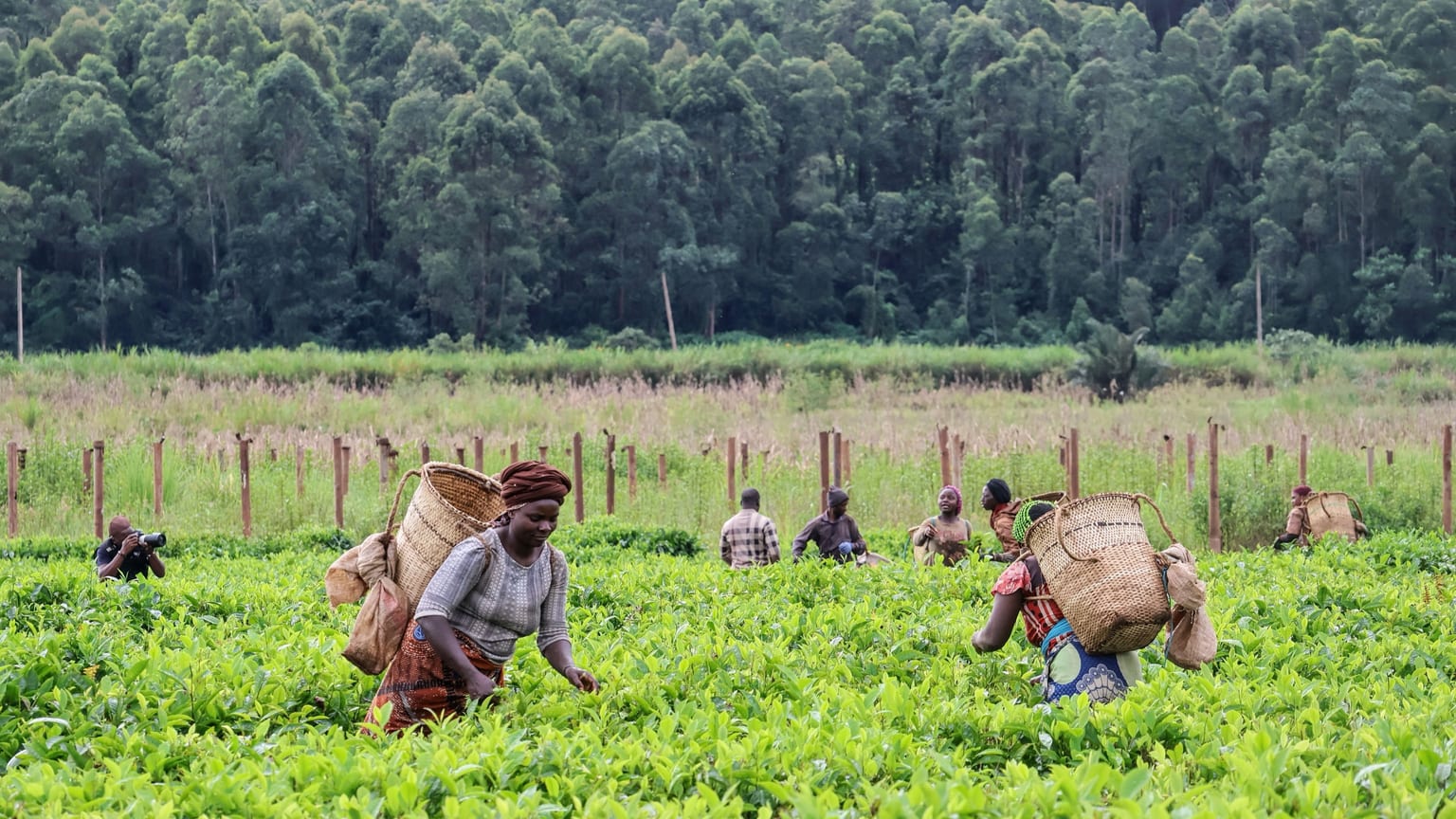 Experts en solutions agricoles bio, modernes et durables
